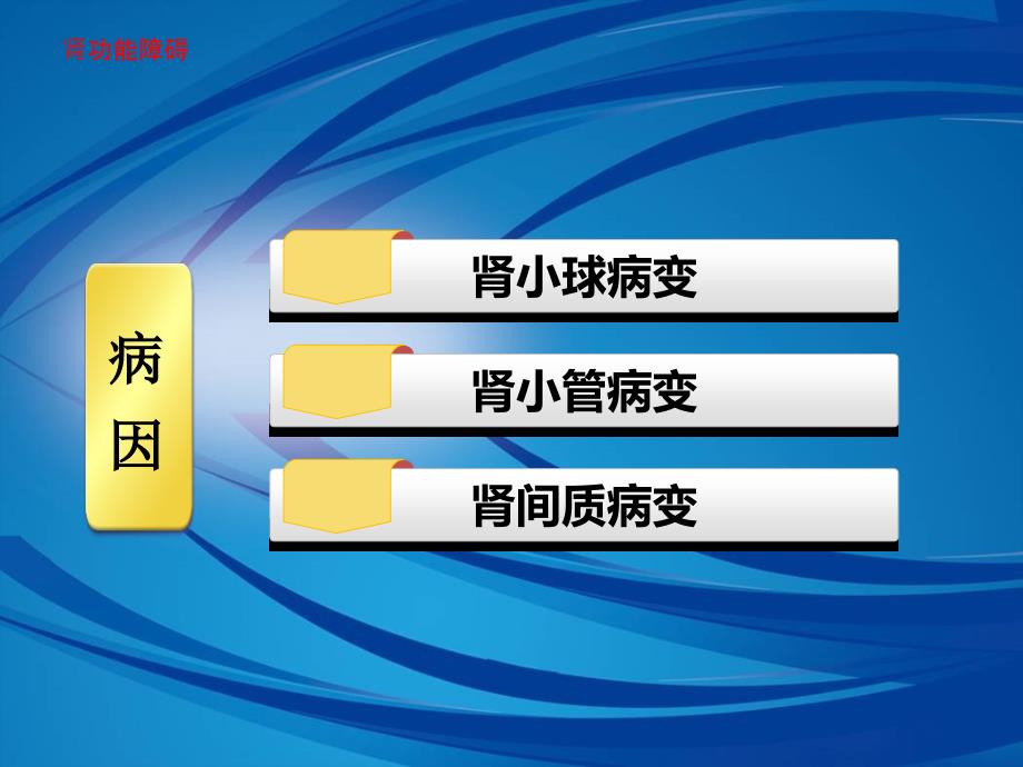 相关病理生理基础2_第3页