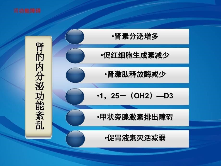 相关病理生理基础2_第5页