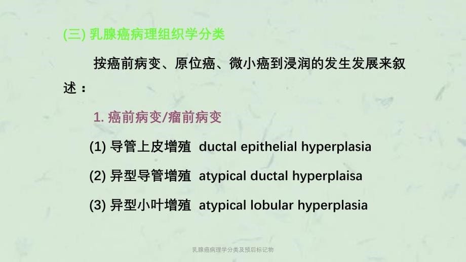 乳腺癌病理学分类及预后标记物课件_第5页