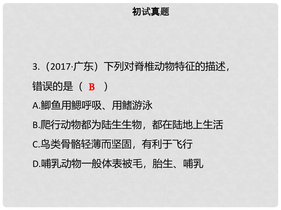 广东省中考生物 模块八 生物的多样性 第四课时 脊椎动物的主要类别课件_第4页