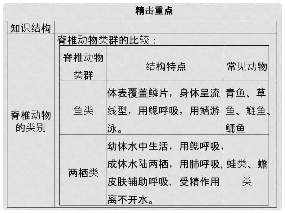 广东省中考生物 模块八 生物的多样性 第四课时 脊椎动物的主要类别课件_第5页