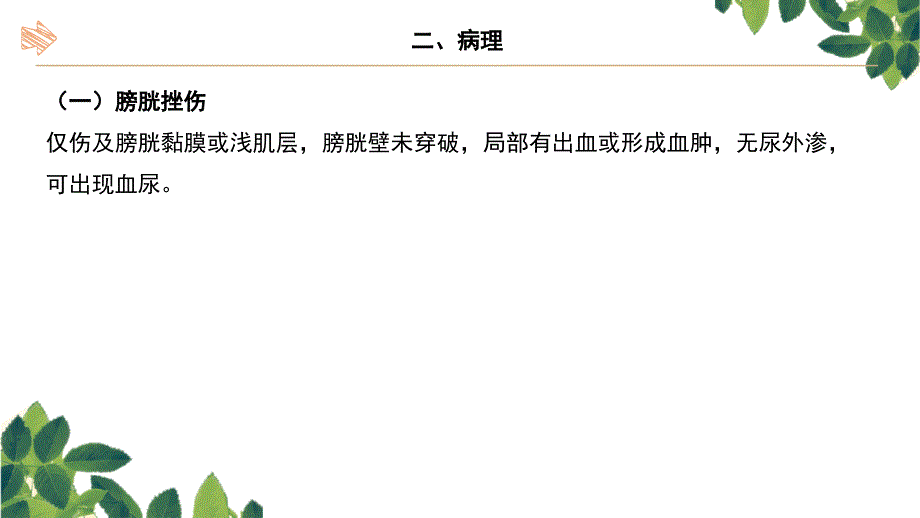 膀胱损伤的护理查房_第4页