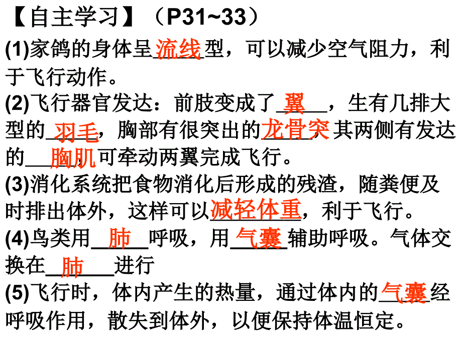 新人教版生物第六节鸟_第3页