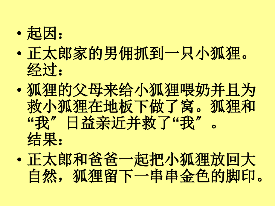 小学六年级语文课件《金色的脚印》_第3页