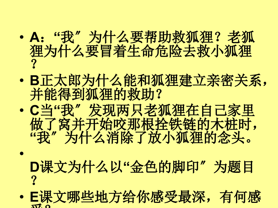 小学六年级语文课件《金色的脚印》_第4页