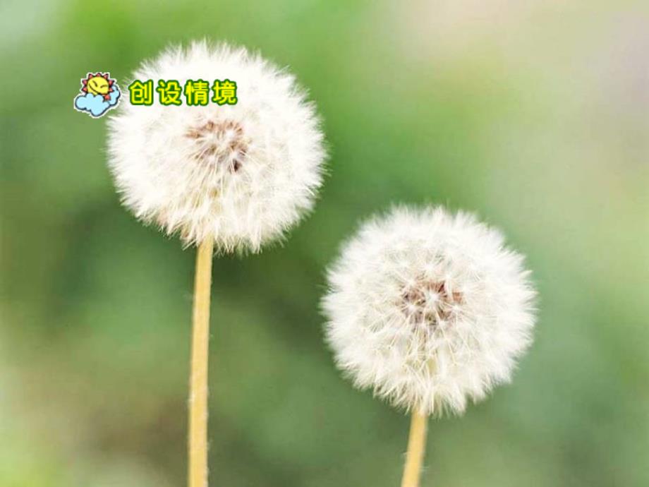 人教版语文二上3《植物妈妈有办法》课件(7)_第4页