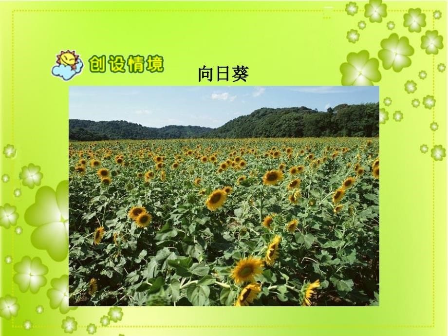 人教版语文二上3《植物妈妈有办法》课件(7)_第5页