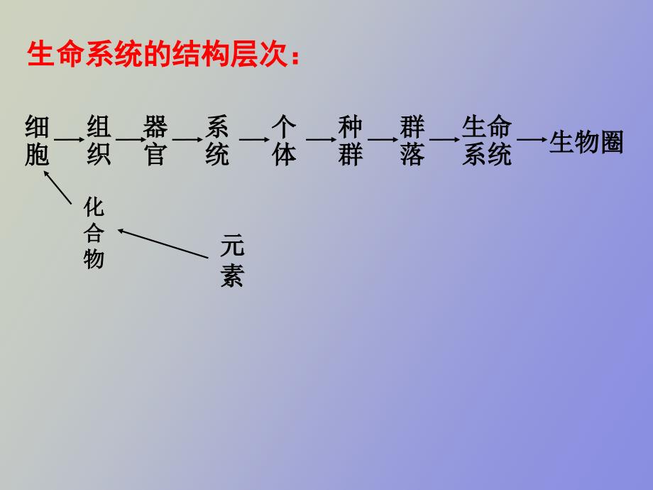 复习分子与细胞_第2页