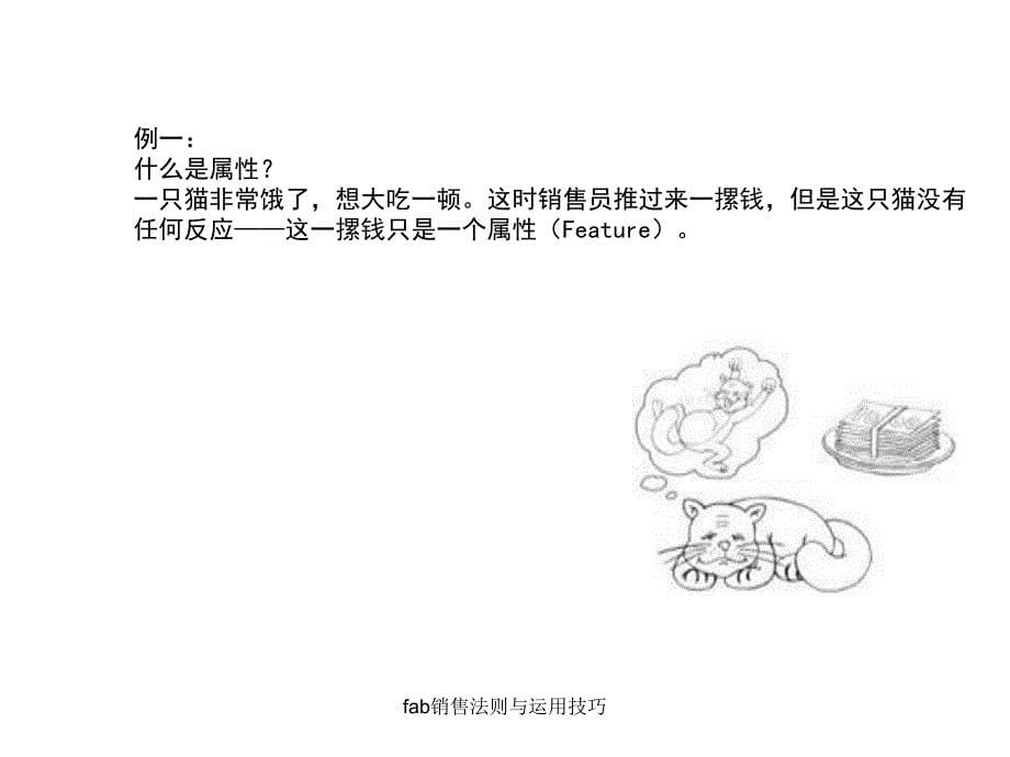 fab销售法则与运用技巧课件_第5页