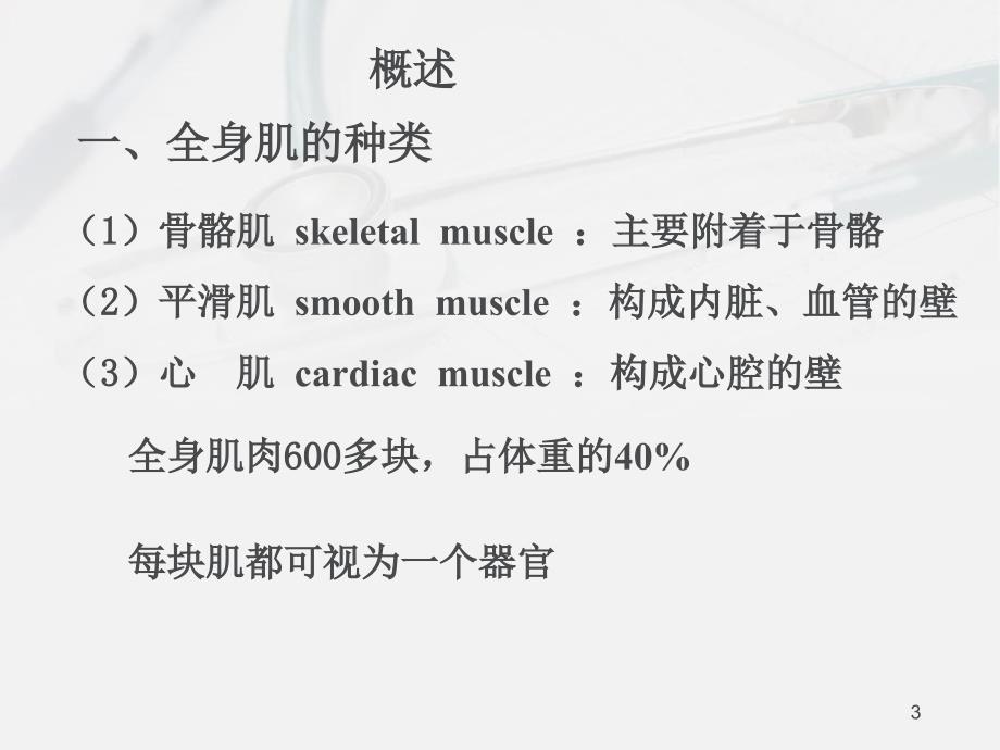 解剖学运动系统骨骼肌_第3页