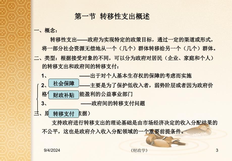 财政学5转移性支出_第3页