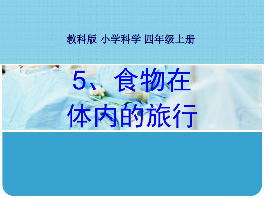 教科版科学四上4.5食物在体内的旅行课件1_第1页