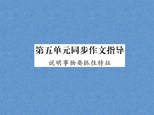 2023年初中语文八年级上册（浙江专用）同步作业课件：第五单元同步作文指导