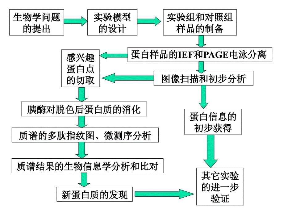 二维电泳技术介绍_第5页