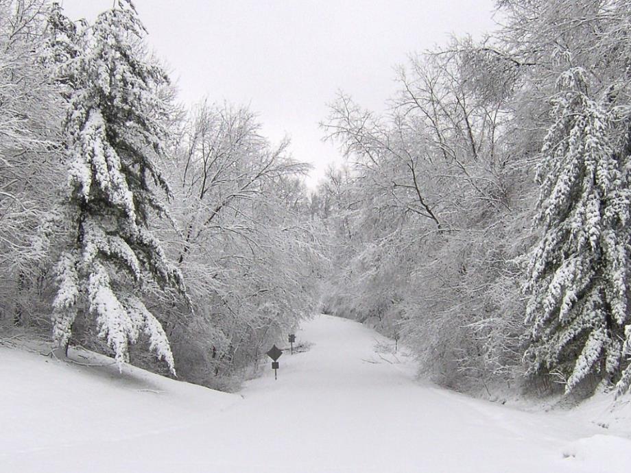 《雪地里的小画家》课件1_第3页