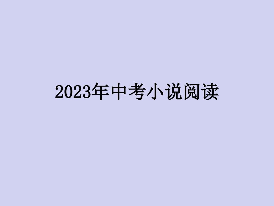 2023年人教版初中语文中考复习——小说专题_第1页