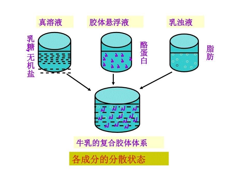 第3章畜产食品原料第五部分乳的成分及性质_第5页