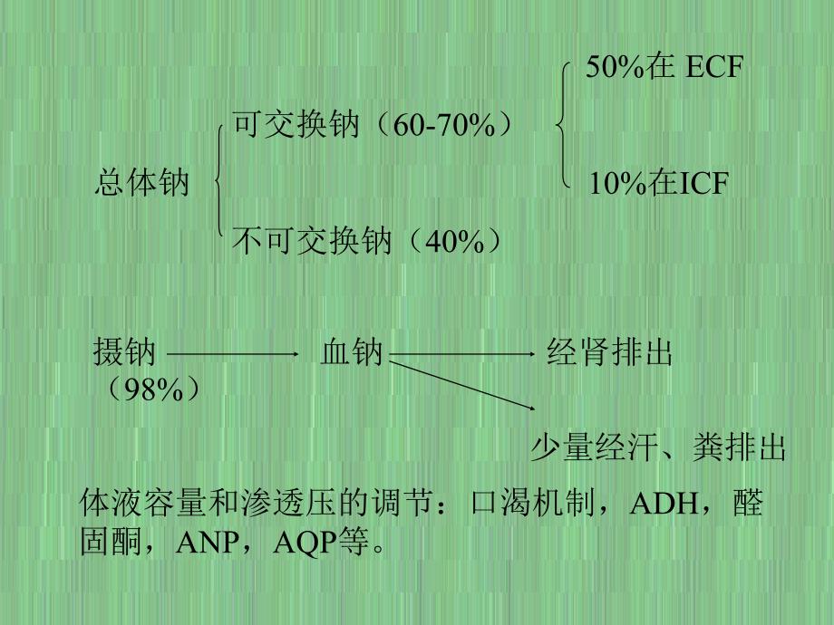 病理生理学3-水-电解质代谢紊乱_第1页
