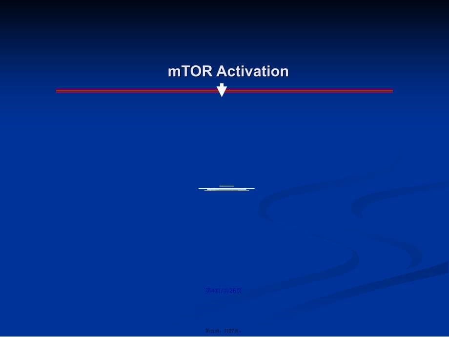 mTOR抑制剂在癌症治疗中的应用学习教案_第5页