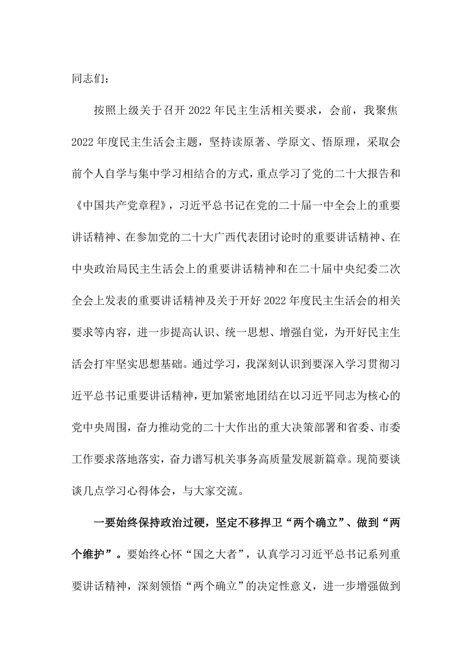 2023年度民主会会前集中学习研讨发言提纲（班子成员）_第1页