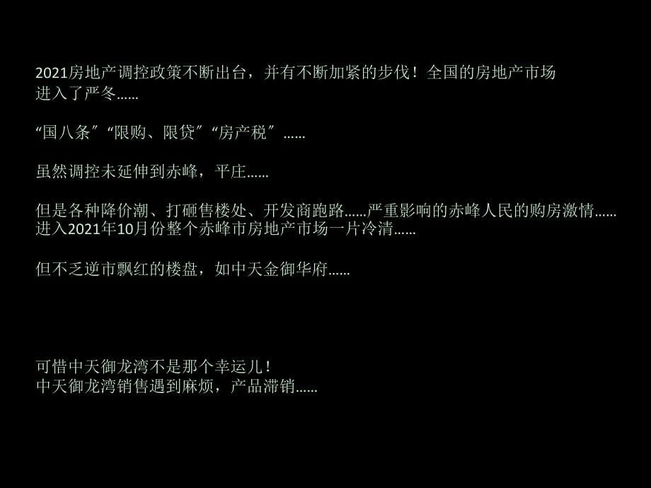 2011年赤峰市中天御龙湾产品定位报告_第5页