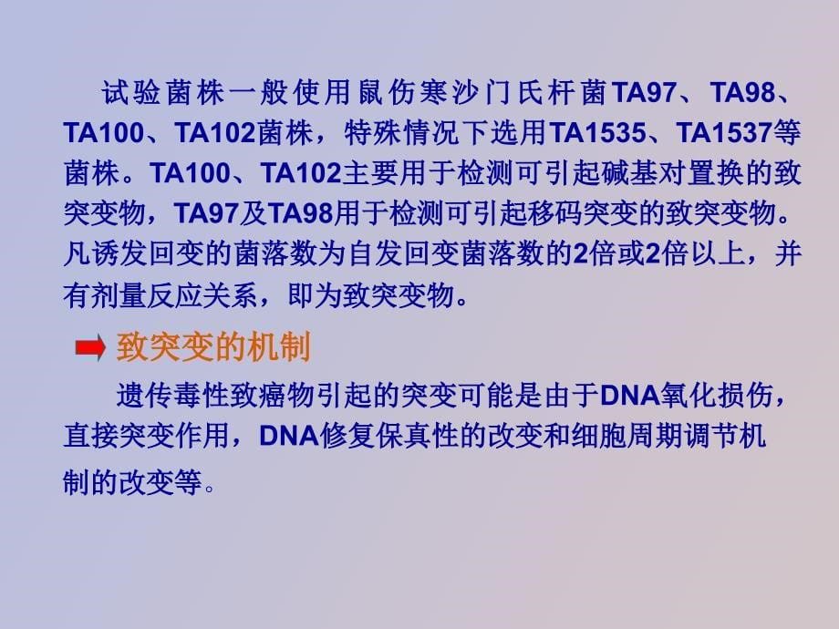 槟榔碱遗传毒理概述及毒作用机制_第5页