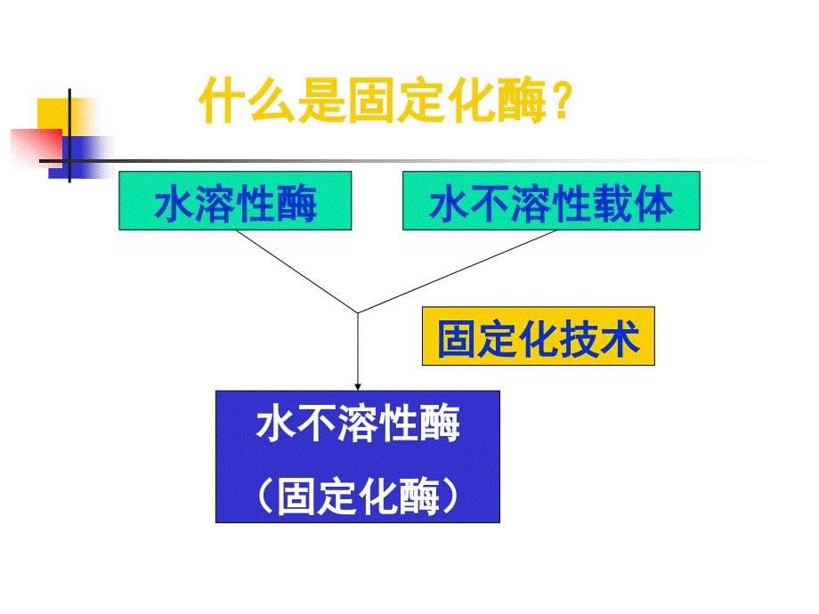 6酶、细胞、原生质体固定化课件_第5页