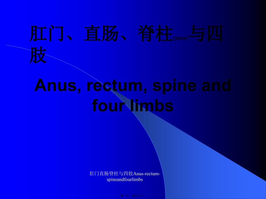 肛门直肠脊柱与四肢Anus-rectum-spineandfourlimbs课件_第1页