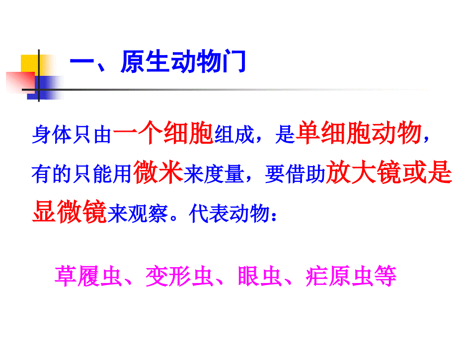 生物的分类无脊椎动物_第3页