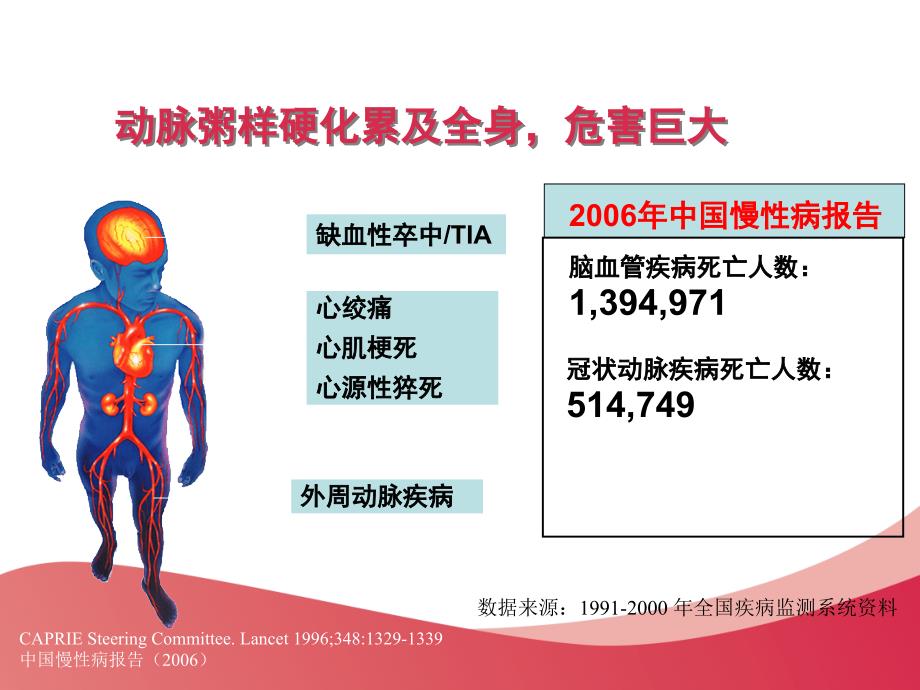 动脉粥样硬化的形成、危害及干预措施_第3页