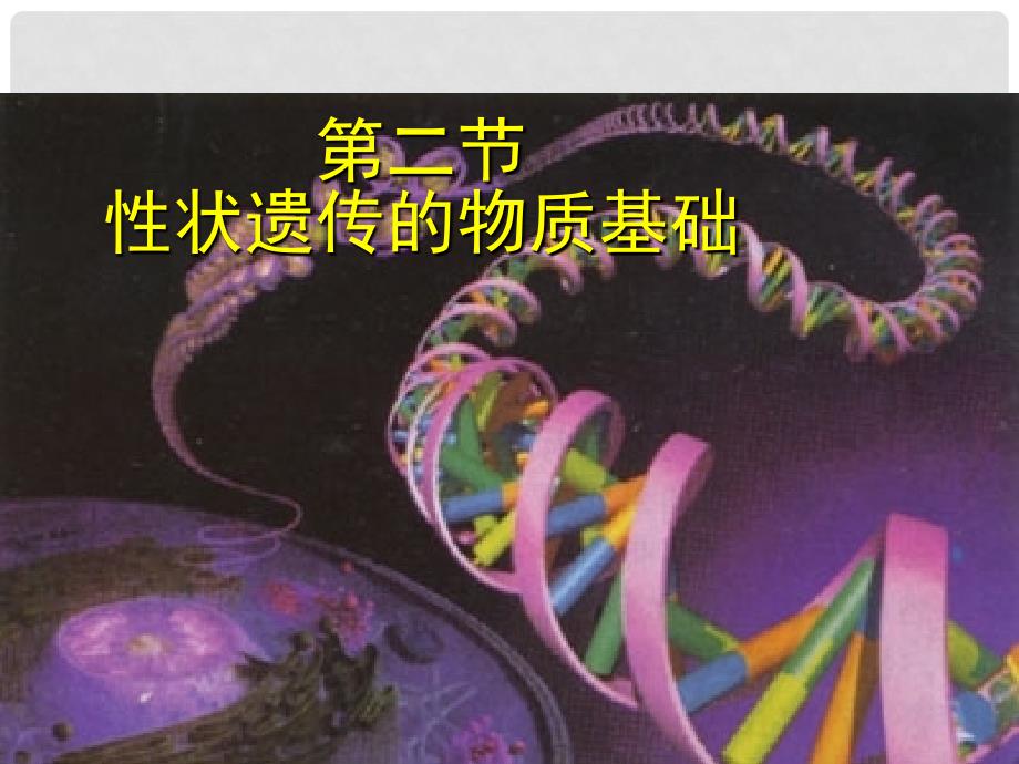 八年级生物上册 6.20.2 性状遗传的物质基础课件 北师大版_第1页