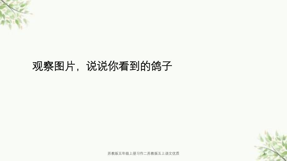 苏教版五年级上册习作二苏教版五上语文优质课件_第3页