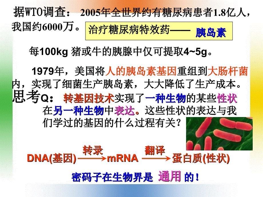 人教版高中生物选修3专题1第1节DNA重组技术的基本工具2_第5页