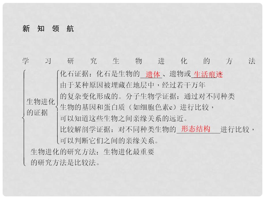 八年级生物下册 第七单元 第三章 第二节 生物进化的历程（第1课时 学习研究生物进化的方法）课件 （新版）新人教版_第2页