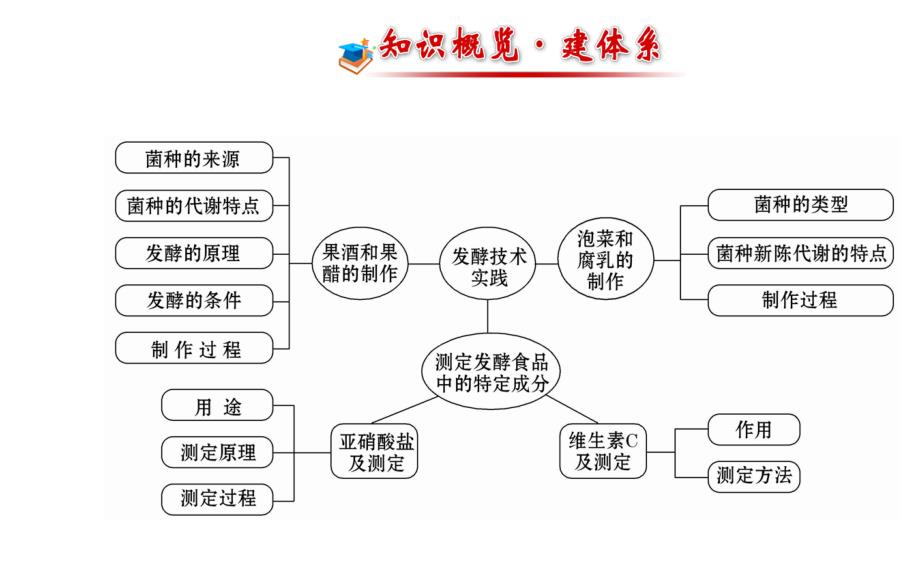 苏教版高考生物一轮复习金榜课件知识概览主干回顾核心归纳选修1第二章发酵技术实践共59张PPT_第2页