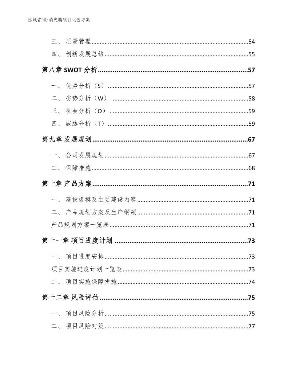 消光膜项目运营方案参考范文_第5页