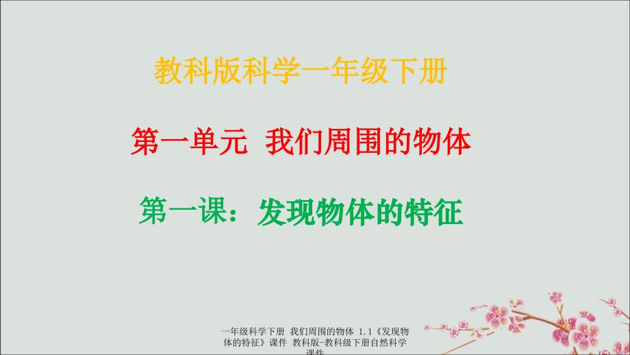 最新一年级科学下册我们周围的物体1.1发现物体的特征课件教科版教科级下册自然科学课件_第1页