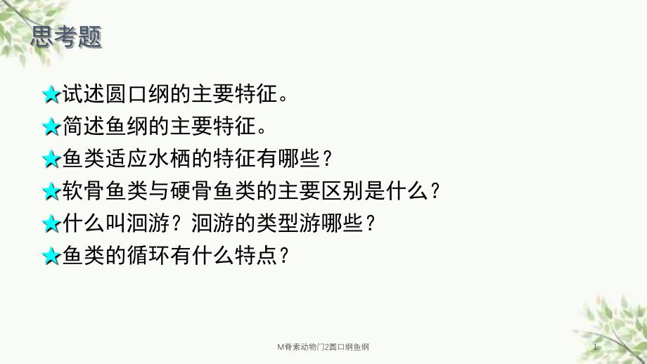 M脊索动物门2圆口纲鱼纲课件_第1页