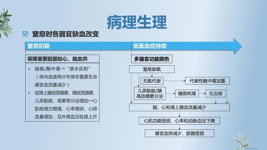 新生儿窒息概述 (1)_第5页