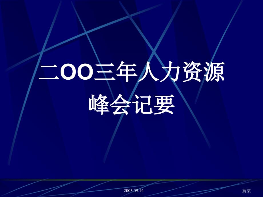 某某年人力资源峰会记要_第1页