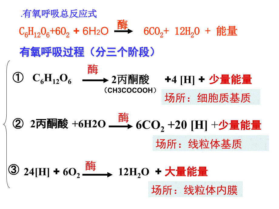 呼吸作用因素_第2页