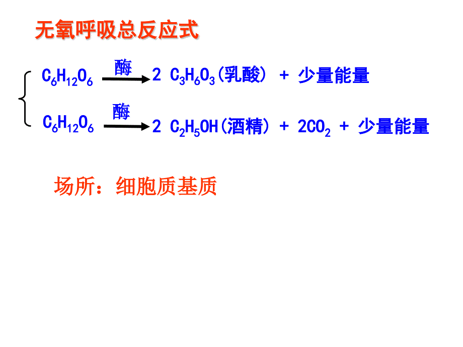 呼吸作用因素_第3页