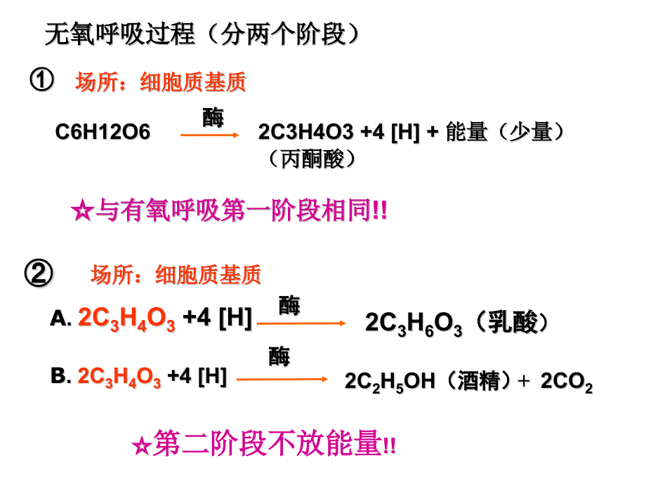 呼吸作用因素_第4页