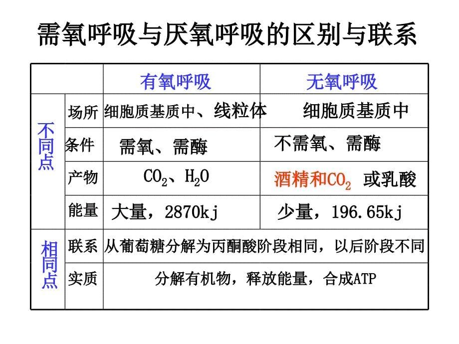 呼吸作用因素_第5页