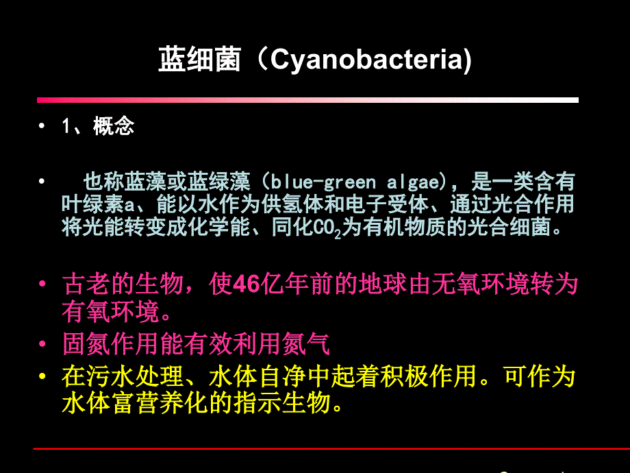 原核微生物之蓝细菌和古菌_第2页