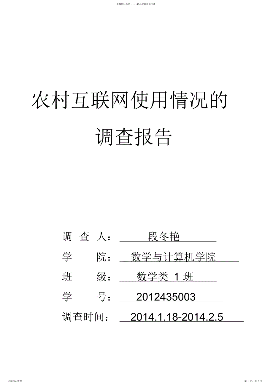 2022年2022年互联网使用情况的调查报告_第1页