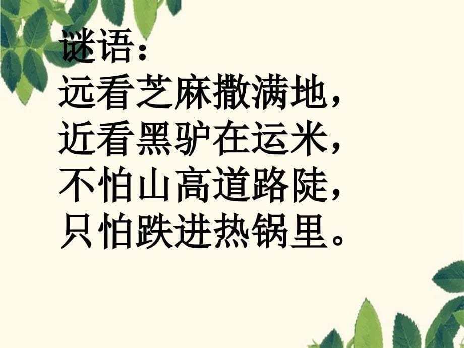 三年级科学上册2.5蚂蚁课件5教科版教科版小学三年级上册自然科学课件_第5页