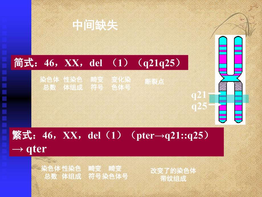 人类染色体疾病的诊断二_第3页