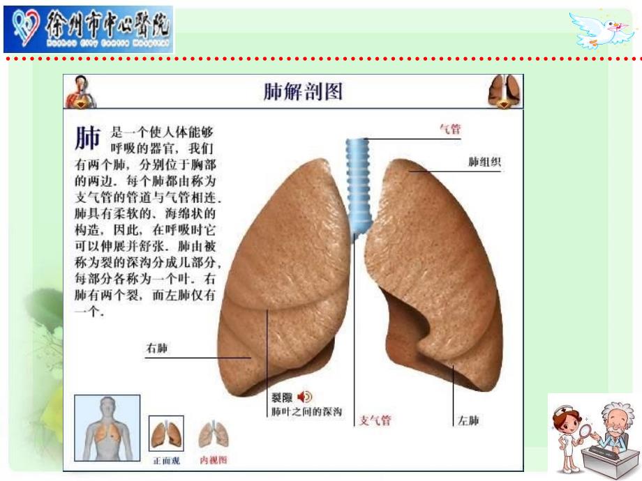 肺全切护理课件完整_第4页