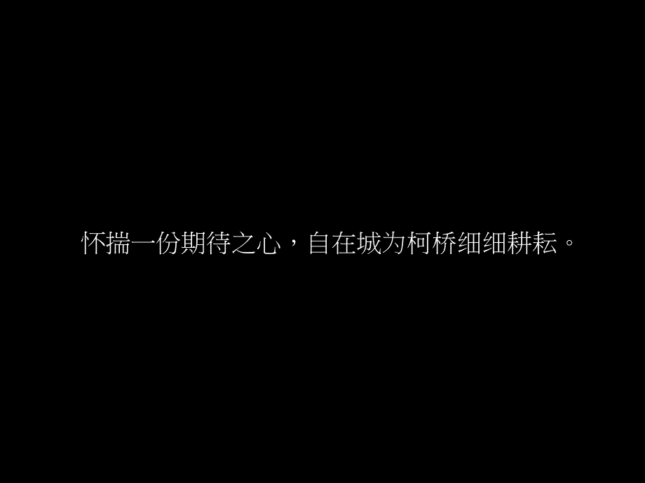 金地&#183;自在天地2013年年度推广计划_第3页